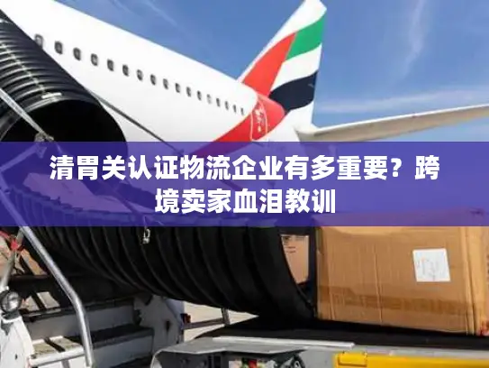 清胃关认证物流企业有多重要？跨境卖家血泪教训