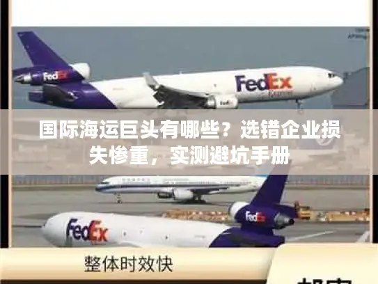 国际海运巨头有哪些？选错企业损失惨重，实测避坑手册