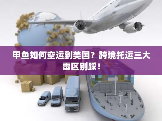 甲鱼如何空运到美国？跨境托运三大雷区别踩！