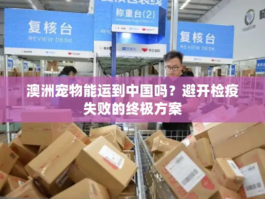 澳洲宠物能运到中国吗？避开检疫失败的终极方案