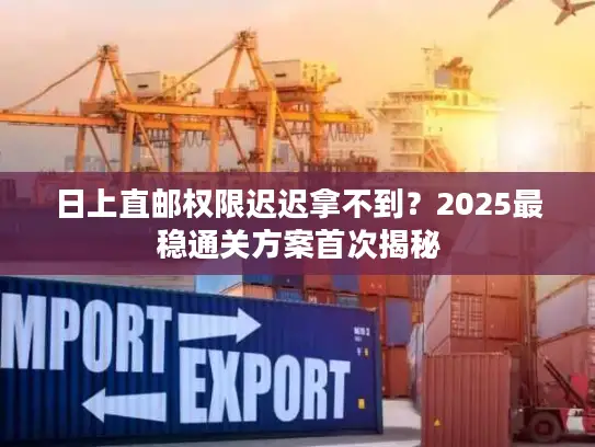 日上直邮权限迟迟拿不到？2025最稳通关方案首次揭秘