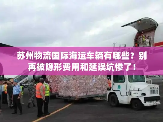 苏州物流国际海运车辆有哪些？别再被隐形费用和延误坑惨了！