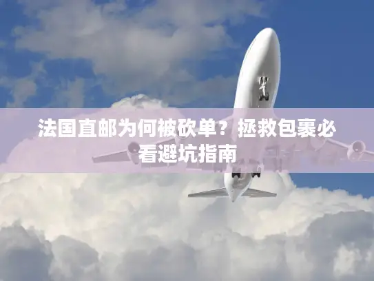 法国直邮为何被砍单？拯救包裹必看避坑指南