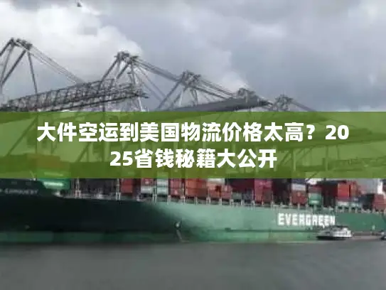 大件空运到美国物流价格太高？2025省钱秘籍大公开