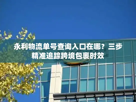 永利物流单号查询入口在哪？三步精准追踪跨境包裹时效