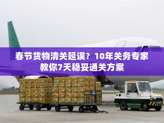 春节货物清关延误？10年关务专家教你7天稳妥通关方案