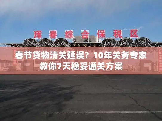 春节货物清关延误？10年关务专家教你7天稳妥通关方案
