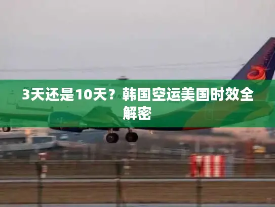 3天还是10天?韩国空运美国时效全解密 3天还是10天?韩国空运美国时效全解密