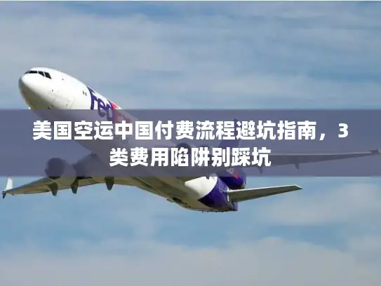 美国空运中国付费流程避坑指南，3类费用陷阱别踩坑