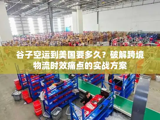 谷子空运到美国要多久？破解跨境物流时效痛点的实战方案