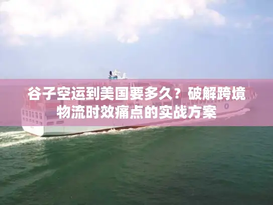 谷子空运到美国要多久？破解跨境物流时效痛点的实战方案