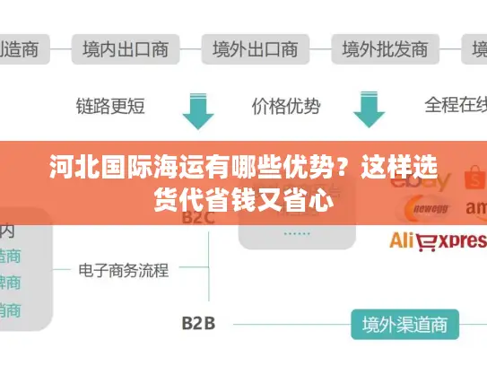河北国际海运有哪些优势？这样选货代省钱又省心