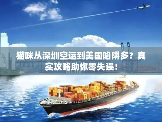 猫咪从深圳空运到美国陷阱多？真实攻略助你零失误！