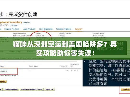 猫咪从深圳空运到美国陷阱多？真实攻略助你零失误！