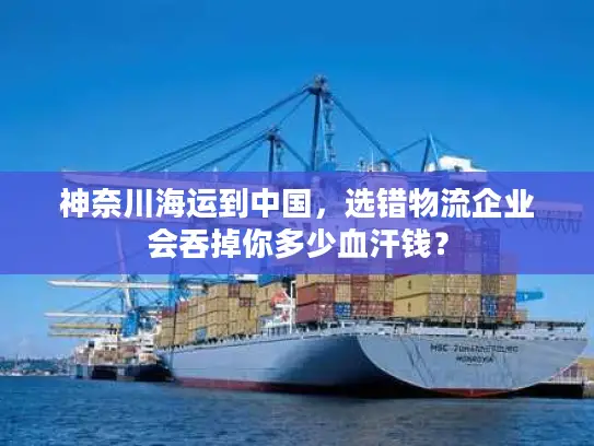 神奈川海运到中国，选错物流企业会吞掉你多少血汗钱？