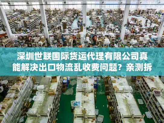 深圳世联国际货运代理有限公司真能解决出口物流乱收费问题？亲测拆解避坑方案