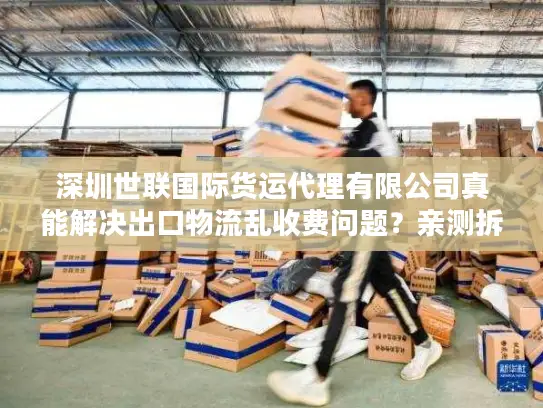 深圳世联国际货运代理有限公司真能解决出口物流乱收费问题？亲测拆解避坑方案