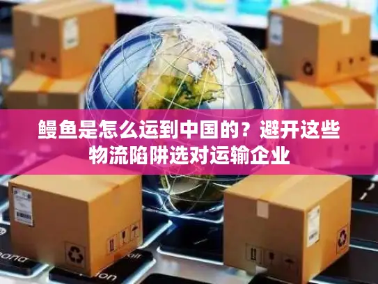 鳗鱼是怎么运到中国的?避开这些物流陷阱选对运输企业 鳗鱼是怎么运到中国的?避开这些物流陷阱选对运输企业