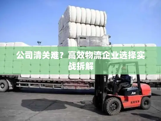 公司清关难？高效物流企业选择实战拆解