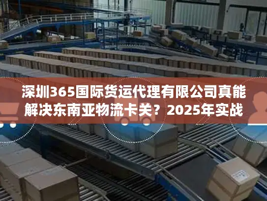 深圳365国际货运代理有限公司真能解决东南亚物流卡关？2025年实战避坑清单