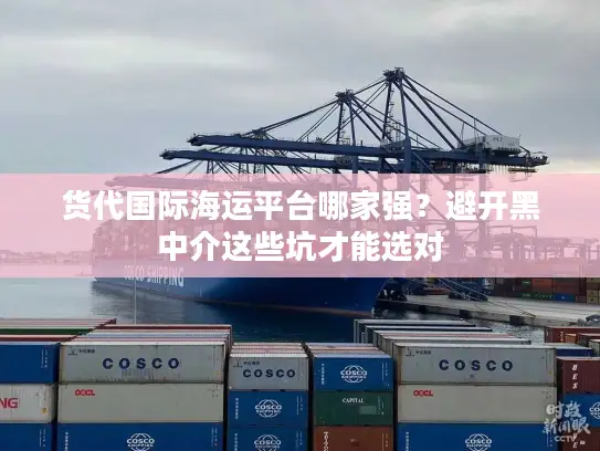 货代国际海运平台哪家强？避开黑中介这些坑才能选对