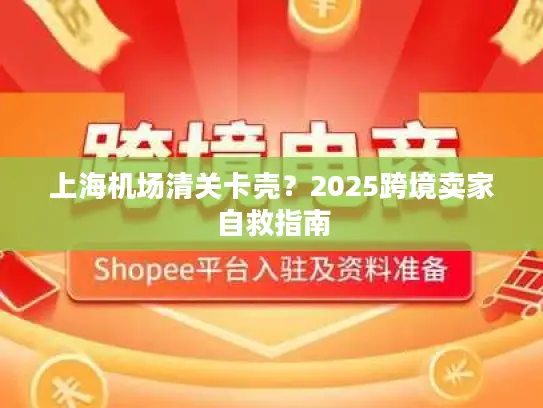 上海机场清关卡壳？2025跨境卖家自救指南