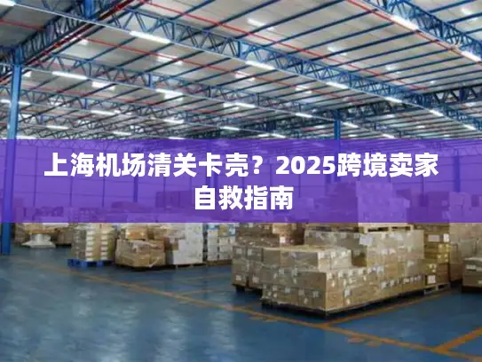 上海机场清关卡壳？2025跨境卖家自救指南
