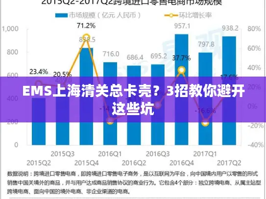 EMS上海清关总卡壳？3招教你避开这些坑