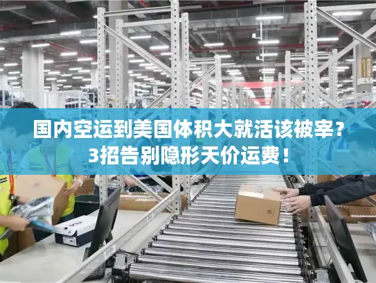 国内空运到美国体积大就活该被宰？3招告别隐形天价运费！