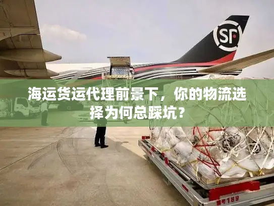海运货运代理前景下，你的物流选择为何总踩坑？
