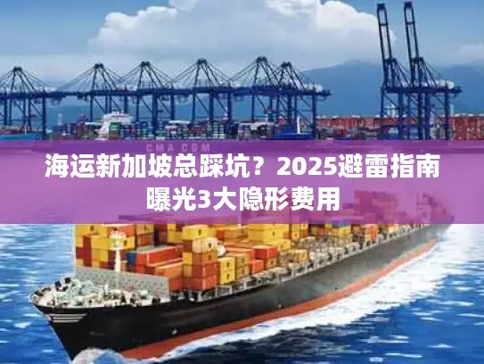 海运新加坡总踩坑？2025避雷指南曝光3大隐形费用