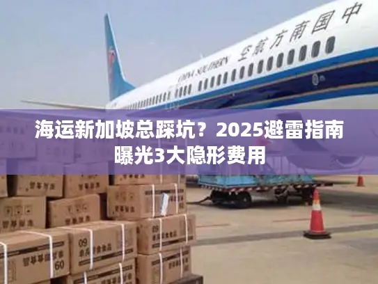 海运新加坡总踩坑？2025避雷指南曝光3大隐形费用