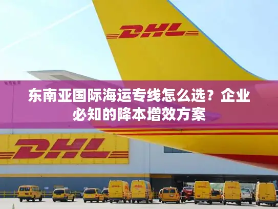 东南亚国际海运专线怎么选？企业必知的降本增效方案