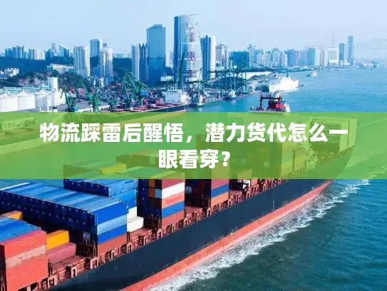 物流踩雷后醒悟，潜力货代怎么一眼看穿？