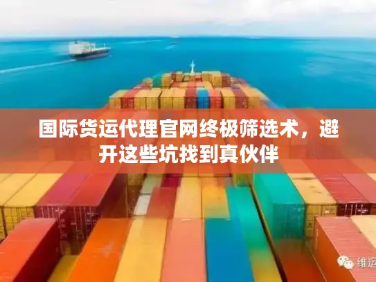 国际货运代理官网终极筛选术，避开这些坑找到真伙伴