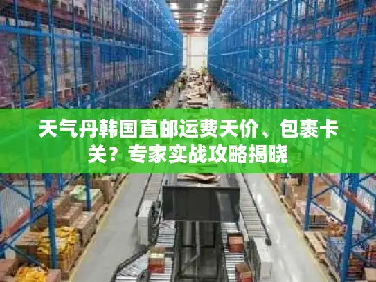 天气丹韩国直邮运费天价、包裹卡关？专家实战攻略揭晓