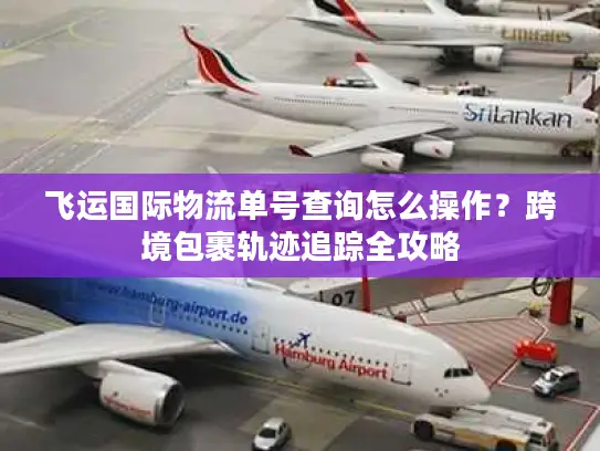 飞运国际物流单号查询怎么操作？跨境包裹轨迹追踪全攻略