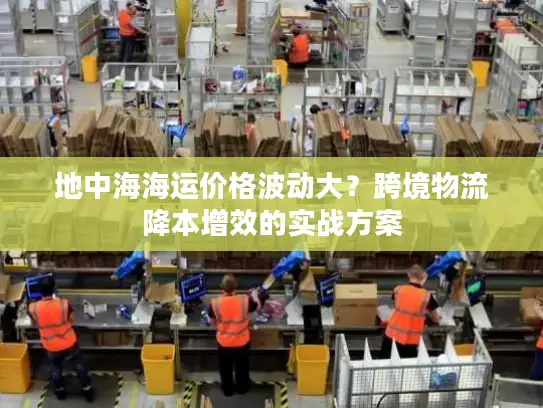 地中海海运价格波动大？跨境物流降本增效的实战方案