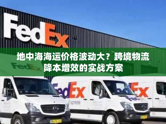 地中海海运价格波动大？跨境物流降本增效的实战方案