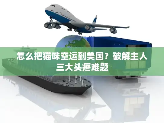 怎么把猫咪空运到美国？破解主人三大头疼难题
