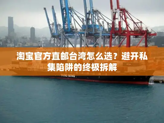 淘宝官方直邮台湾怎么选？避开私集陷阱的终极拆解