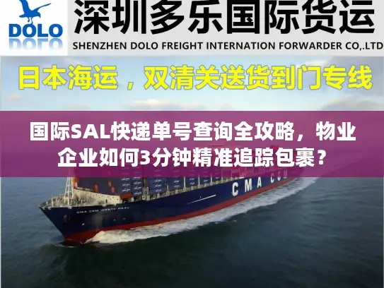国际SAL快递单号查询全攻略，物业企业如何3分钟精准追踪包裹？