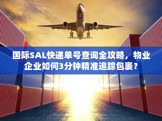 国际SAL快递单号查询全攻略，物业企业如何3分钟精准追踪包裹？