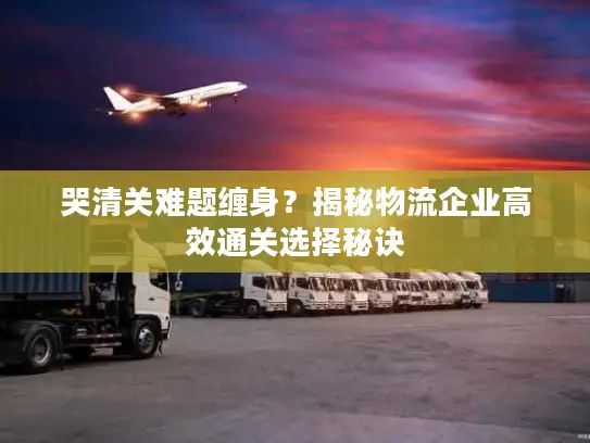 哭清关难题缠身？揭秘物流企业高效通关选择秘诀