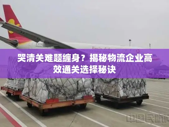 哭清关难题缠身？揭秘物流企业高效通关选择秘诀