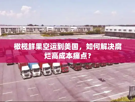 橄榄鲜果空运到美国，如何解决腐烂高成本痛点？