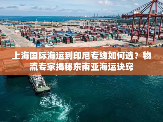 上海国际海运到印尼专线如何选？物流专家揭秘东南亚海运诀窍