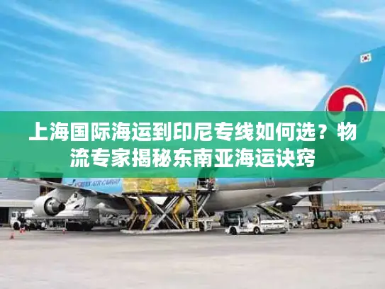 上海国际海运到印尼专线如何选？物流专家揭秘东南亚海运诀窍
