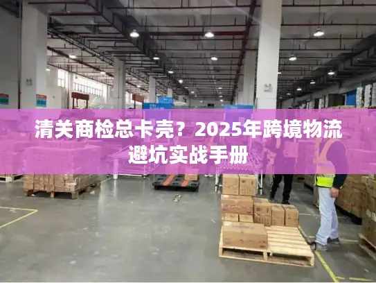 清关商检总卡壳？2025年跨境物流避坑实战手册