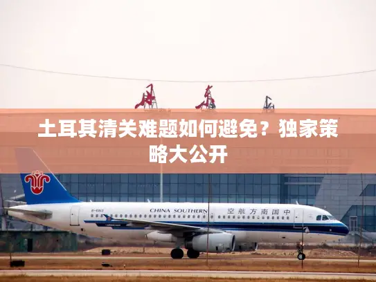 土耳其清关难题如何避免？独家策略大公开